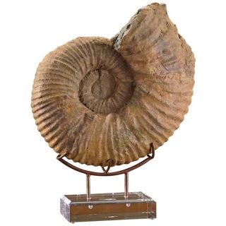 John Richard Faux Ammonite with Stand   #V3567