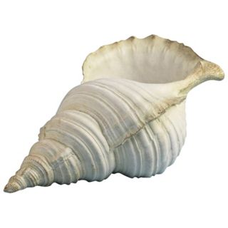 Shell Decorative Object   #F3997