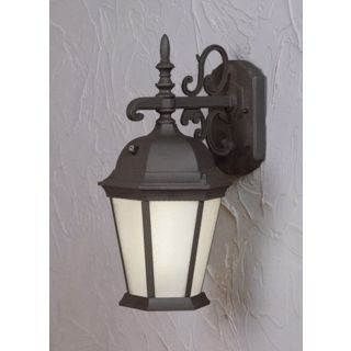 Black and Frosted Glass 18 1/4" High Outdoor Wall Light   #25496