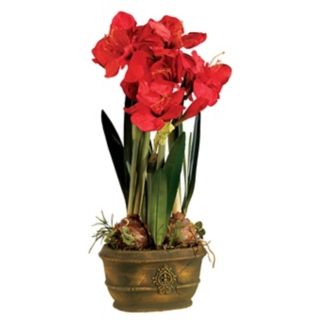 Red Triple Amaryllis Flower Arrangement   #67544