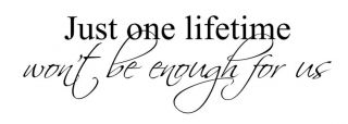 Just One Lifetime WonT Be Enough Wall Vinyl Decal Art Sticker 4 Sizes