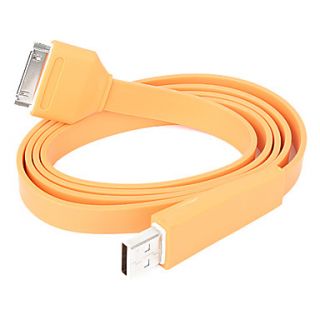 flat design lading og data usb kabel for iPhone og den nye iPad (100cm