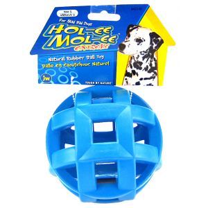JW Pet Tough by Nature Extreme Holee Molee 5 inch Dog Toy