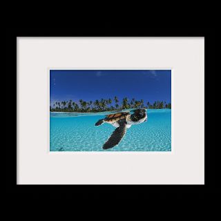 National Geographic Art Store  2012_01_10 015  Nengo Nengo Atoll