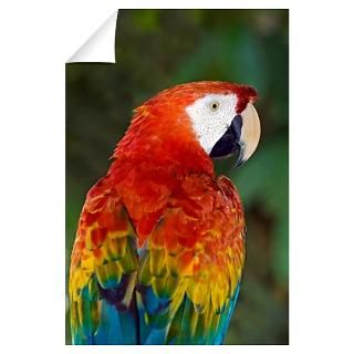 Parrot Wall Decals  Parrot Wall Stickers