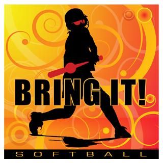 Softball Catcher Wall Decals  Softball Catcher Wall Stickers