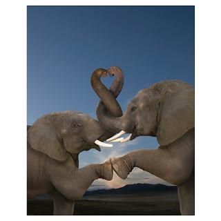 Wall Art  Posters  Elephant Heart Poster