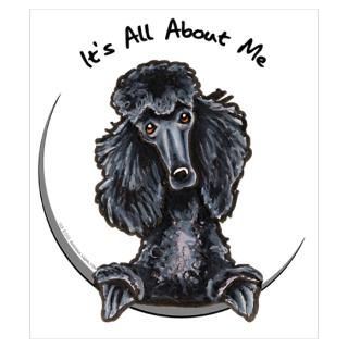 Wall Art  Posters  Funny Black Poodle Poster