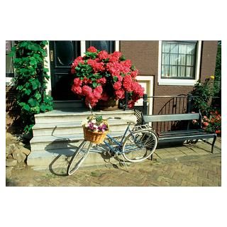 Wall Art  Posters  Bicycle with basket of flowers