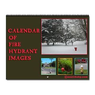 Gifts  2010 Home Office  2013 FIRE HYDRANT CALENDAR 12 IMAGES