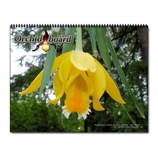 Orchid Board 2013 Wall Calendar (2009 Contest Photos) by orchidboard