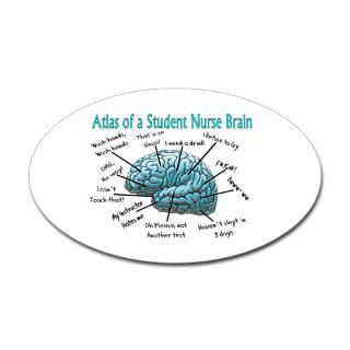 Stickers  Nursing Student IV 2011 Sticker (Oval