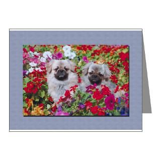 Cafe Pets Note Cards  Retro Tibetan Spaniel Note Cards (Pk of 10