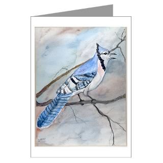 Gifts  Birds Greeting Cards  Blue Jay Greeting Cards (Pk of 10
