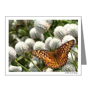 Beautiful Note Cards  Fritillary Butterfly Note Cards (Pk of 10