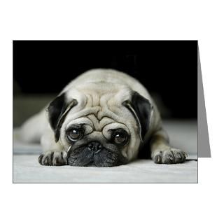 Gifts  Adorable Note Cards  Sad Pug Note Cards (Pk of 10