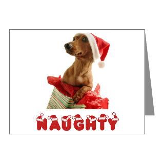  Cafe Pets Note Cards  Naughty Dachshund Note Cards (Pk of 20