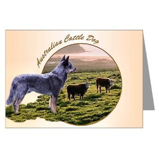 Acd Greeting Cards  Australian Cattle Dog Greeting Cards (Pk of 20