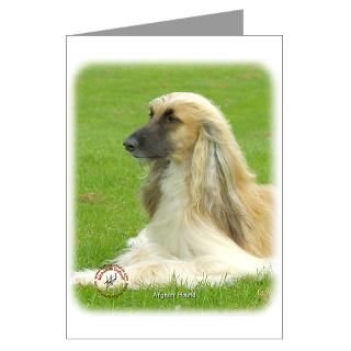 Afghan Hound 9B033D 22 Greeting Cards (Pk of 20)