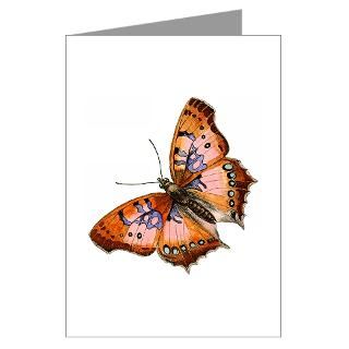 Bestseller Greeting Cards  Butterfly 27 Greeting Cards (Pk of 10