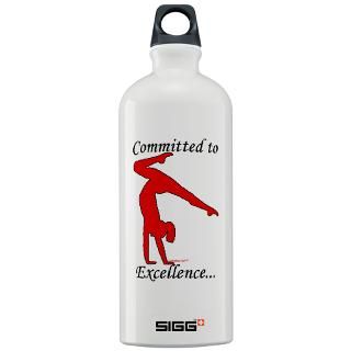 gymnastics sigg water bottle excellence $ 27 99