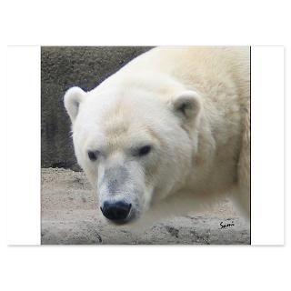 Polar Bear Invitations  Polar Bear Invitation Templates  Personalize