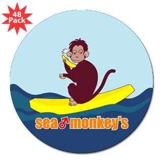 sea Monkey 3 Lapel Sticker (48 pk) for $30.00