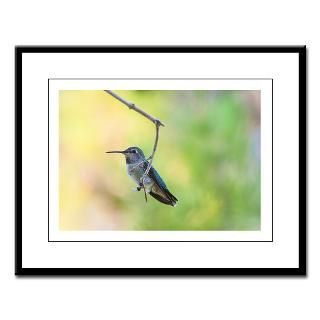 Hummingbird on green Large Framed Print  Hummingbird  Alolkoy