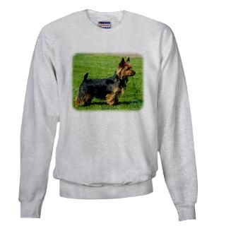 Sweatshirts & Hoodies  Australian Terrier 9R044D 62 Sweatshirt