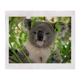 Helaines Koala Bear Stadium Blanket for $74.50