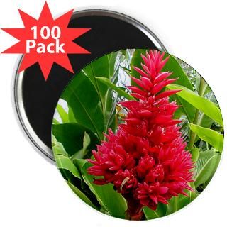 torch red ginger 2 25 magnet 100 pack $ 133 78