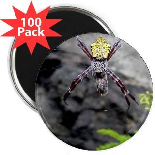 spider eating bee 2 25 magnet 100 pack $ 133 78