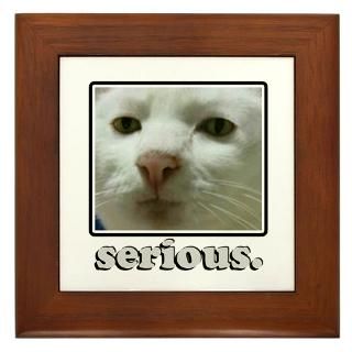 Serious Cat  Popular Pet T Shirts & Gifts  PetGiftz