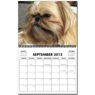 Brussels Griffon Photo 2013 Wall Calendar by griffy_rescue