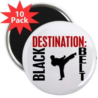 destination black belt 2 25 magnet 10 pack $ 33 98