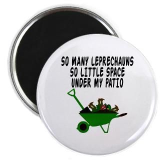 Funny Leprechaun shirts for St Patricks Day  Bignumptees funny,rude