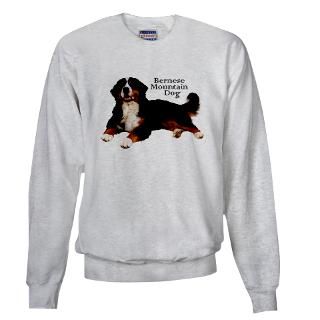 Bernese Mountain Dog Hoodies & Hooded Sweatshirts  Buy Bernese