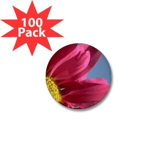 Pink Gerbera Daisy Mini Button (100 pack)