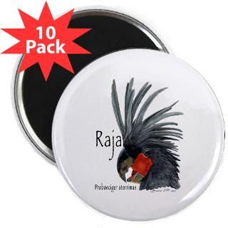 Raja the Black Palm Cockatoo 2.25 Magnet (10 pack