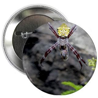 Spider eating Bee  A Friend in the Islands Custom Designs