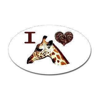 Giraffe Stickers  Giraffe Bumper Stickers –