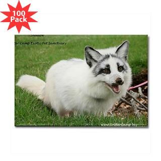 shadow the arctic marble fox rectangle magnet 100 $ 151 99
