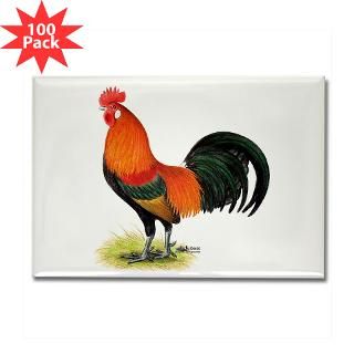 red junglefowl rooster rectangle magnet 100 pack $ 154 99