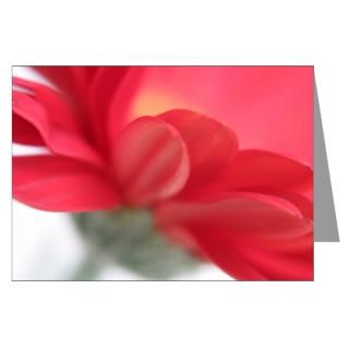 Red Gerber Daisy Greeting Cards (Pk of 10)