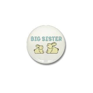 Big Sister Toddler Shirts  Big Sister T Shirt  Big Sister Gifts