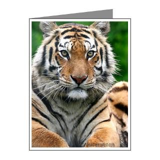 Exotic Feline Rescue Center 156 Tiger Note Cards (