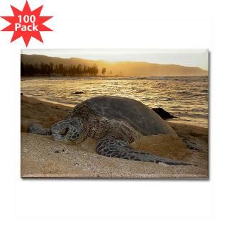 hawaii green sea turtle rectangle magnet 100 pack $ 178 19