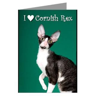 Cornish Rex Kitten Gifts & Merchandise  Cornish Rex Kitten Gift Ideas