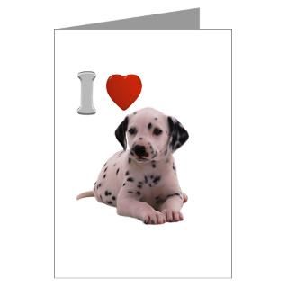 Dalmation Greeting Cards  Buy Dalmation Cards