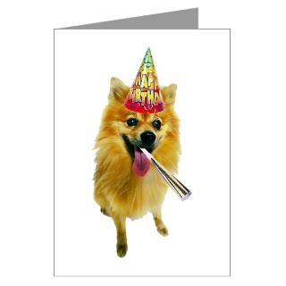 Pomeranian Birthday Greeting Cards  Buy Pomeranian Birthday Cards